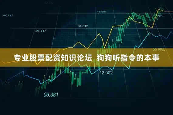 专业股票配资知识论坛  狗狗听指令的本事