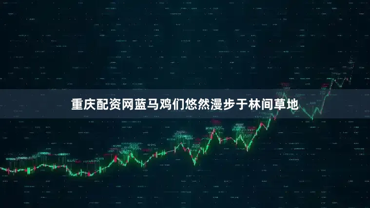 重庆配资网蓝马鸡们悠然漫步于林间草地